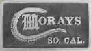 Morays