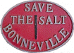 Save The Salt