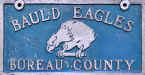 Bauld Eagles