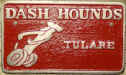 Dash Hounds