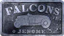 Falcons