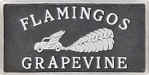Flamingos