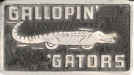 Gallopin Gators