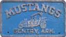 Mustangs